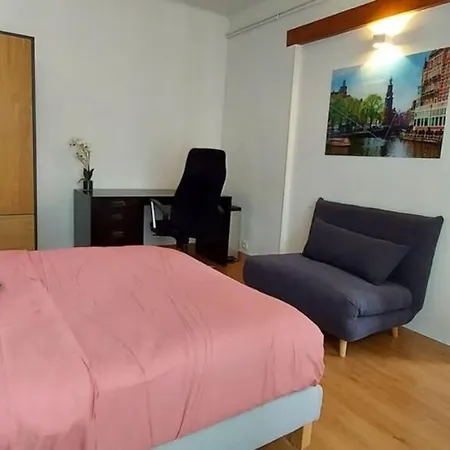 La Paix Avec 2 En Plein Coeur D'annecy דירה